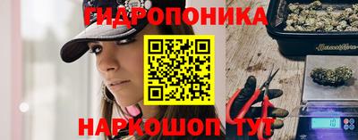 кокс Гусев