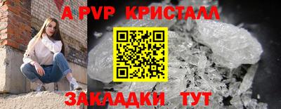 кокс Гусев