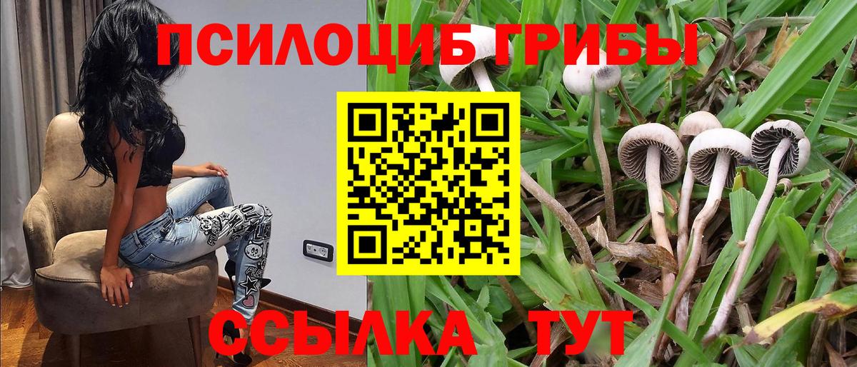 Галлюциногенные грибы мицелий  купить наркоту  Мыски  Вход с VPN 