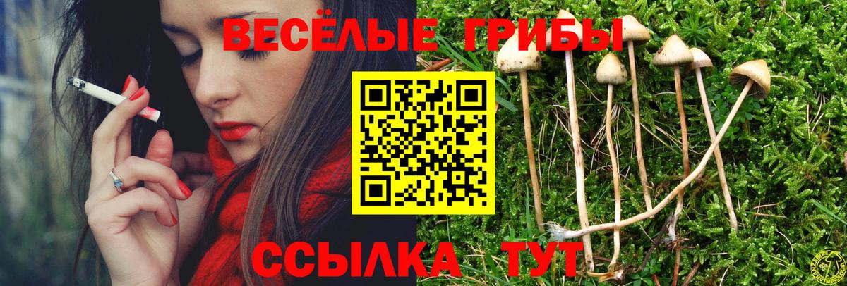 Галлюциногенные грибы ЛСД Мыски